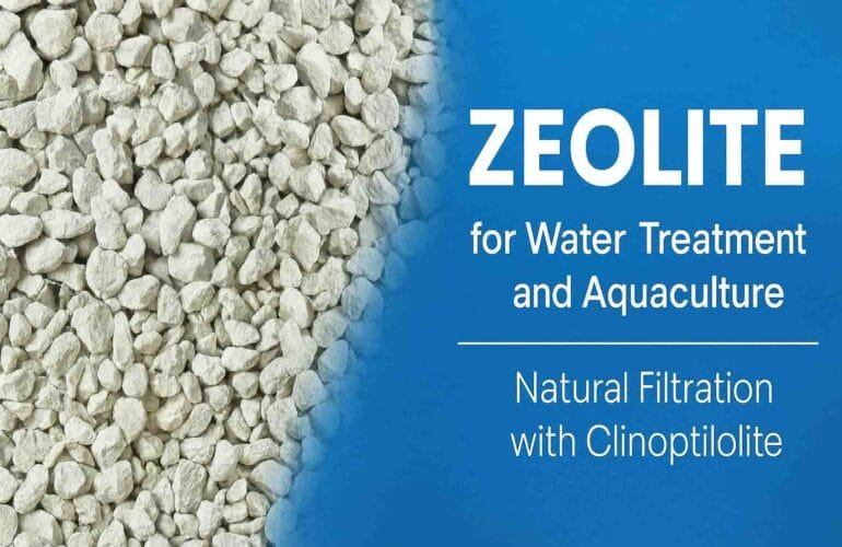 Zeolite for Water Treatment and Aquaculture: Natural Filtration with Clinoptilolite